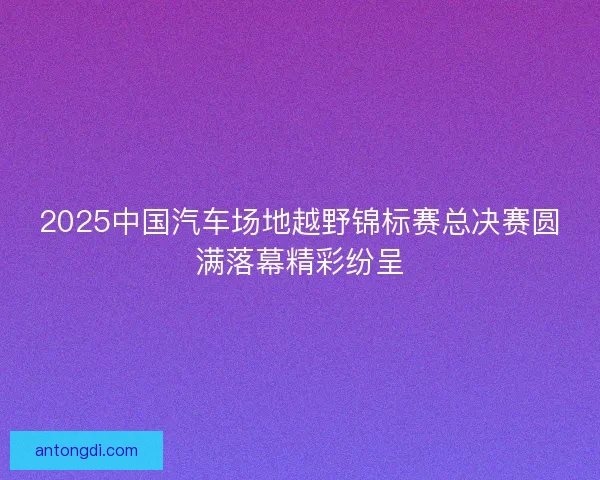2025中国汽车场地越野锦标赛总决赛圆满落幕精彩纷呈